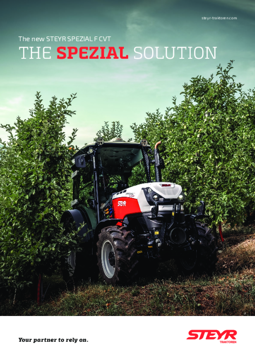 prospect STEYR F