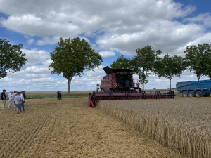 RTK+ EUROPA