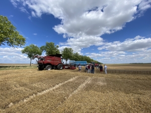 RTK+ EUROPA