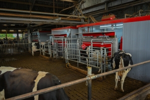 Nieuwe Werkplaats